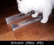     . 

:	front_cat.jpg 
:	3310 
:	154.9  
ID:	117037