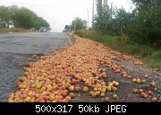     . 

:	kerch_apple_500x317.jpg 
:	191 
:	49.8  
ID:	316577